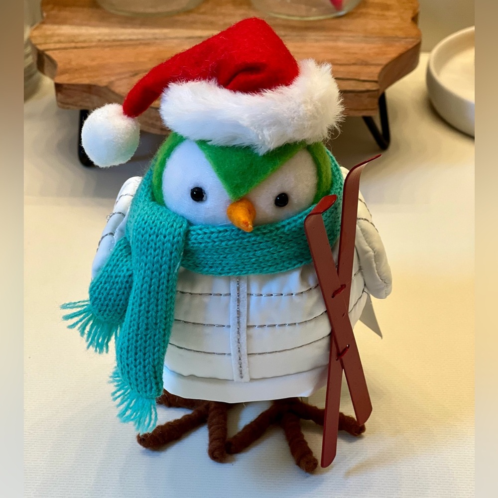 Featherly Friends Powell ski bird 2020 holiday decoration - NWT